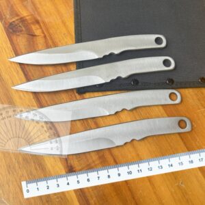 Practice Throwing Knife Round